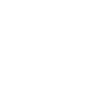 Nações Unidas Brasil Logo Nações Unidas Brasil